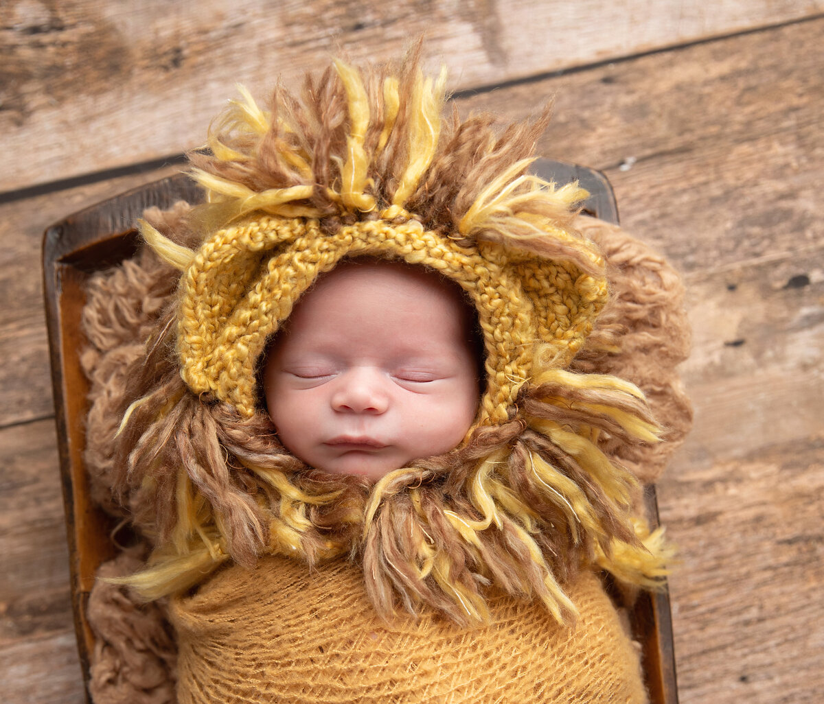 IIE_newborn-lion-theme-photos -n j