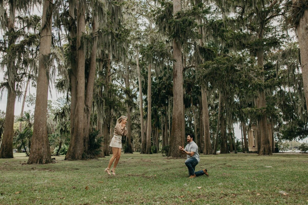 Wide shot of a man proposing on one knee to his partner beneath towering moss-draped cypress trees at Kraft Azalea Garden in Winter Park, Florida.