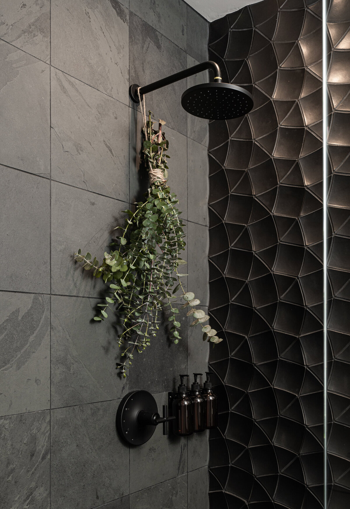 eucalyptus in shower