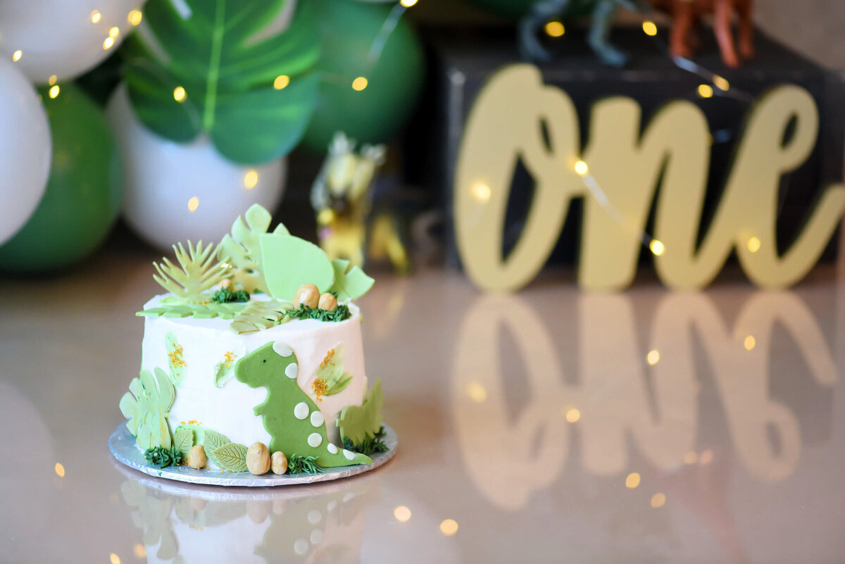 cake-smash-photographer-Burlington-69