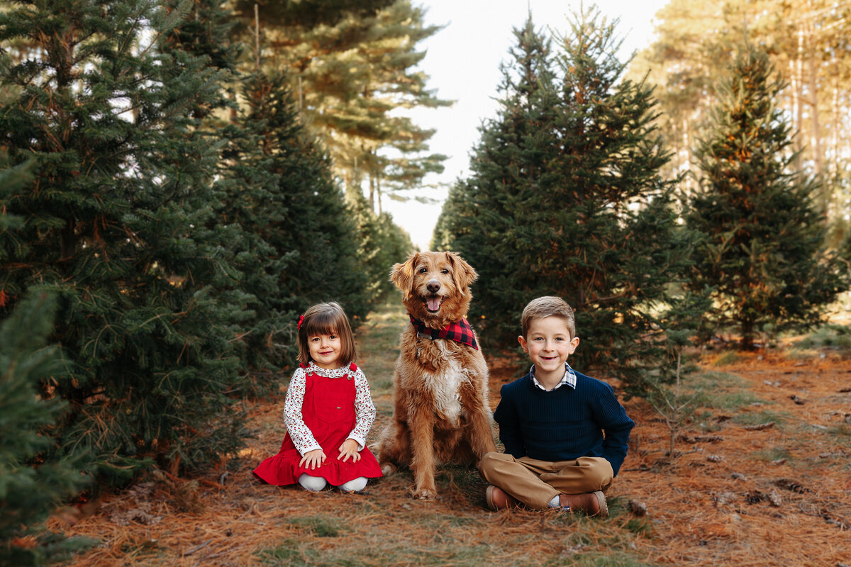 Sarah Remakel TREE FARM MINI 11.12.23-53