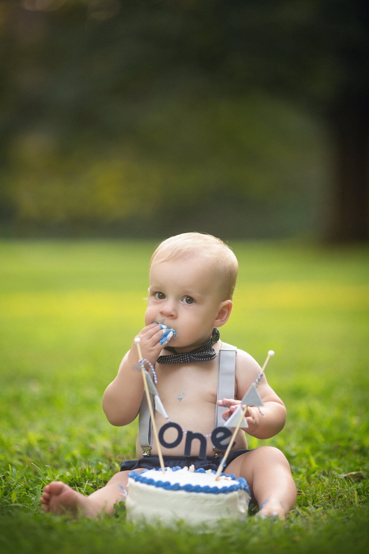 A young toddler boy celebrates his first birthday eating blue cake in a park lawn