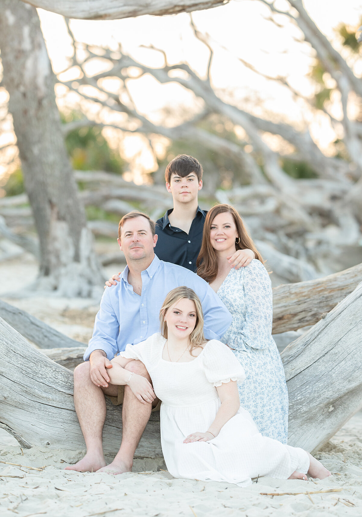 jekyll island photographers driftwood beach
