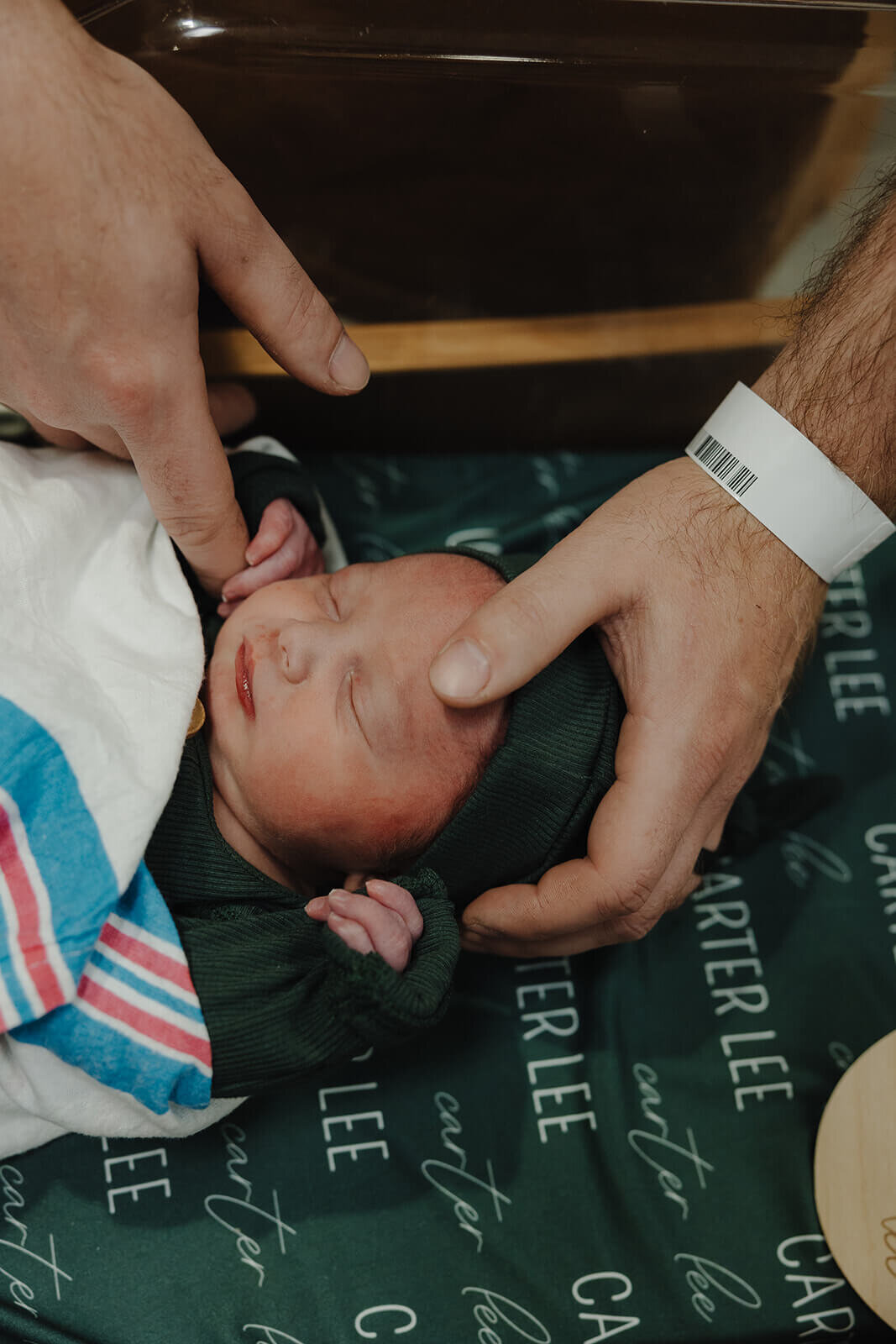 New born baby with dads hand touching head at newborn photoshoot at Finger Lakes, New Yok