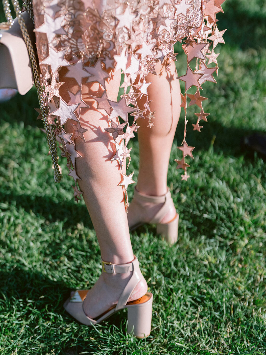 rehearsal-dinner-santa-barbara-zoo-detailed-touch-events-wedding-planner40