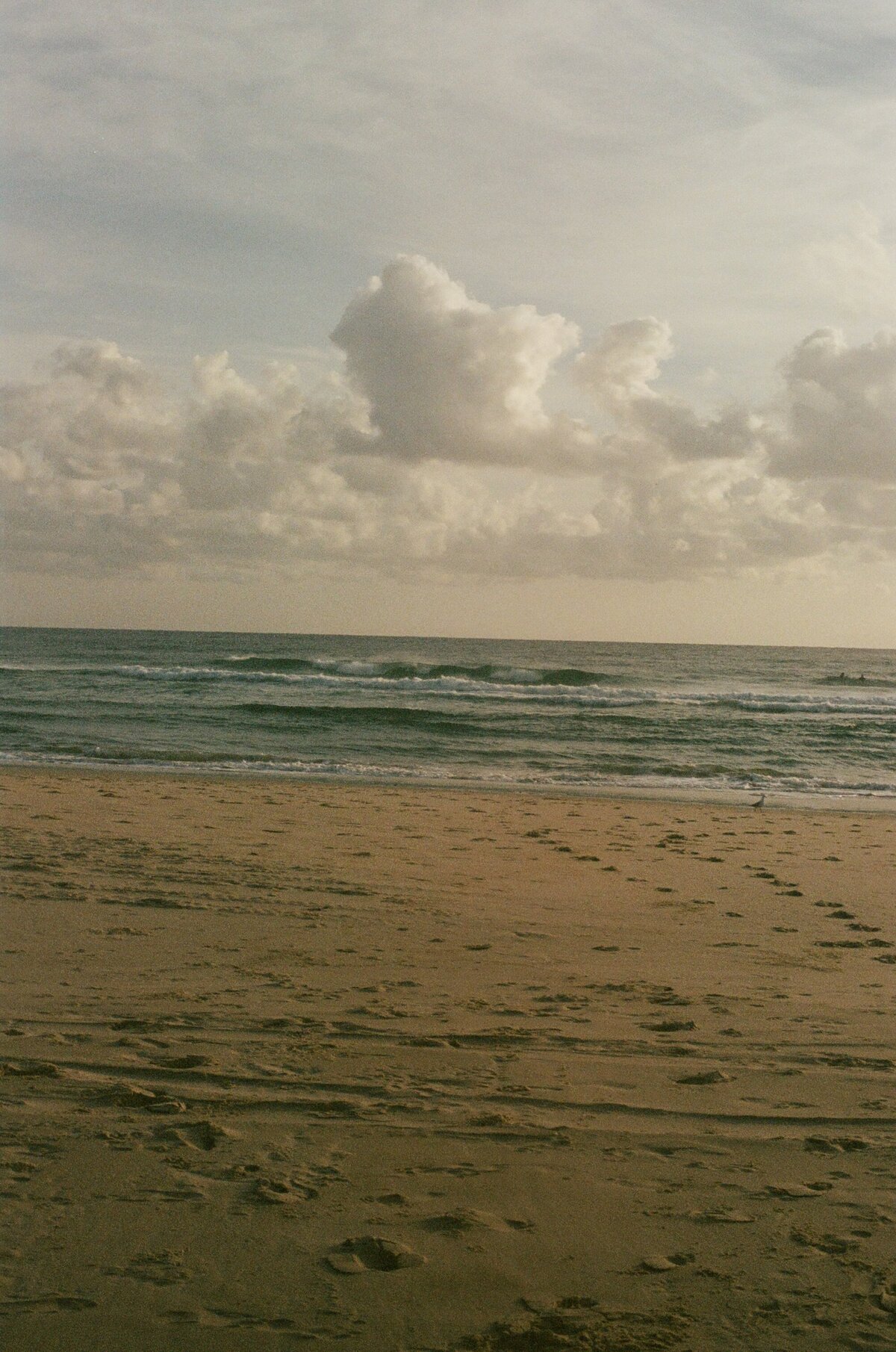 Image36