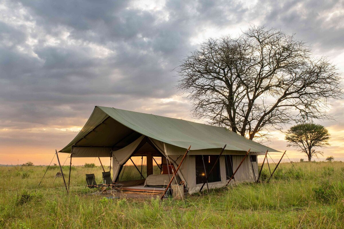 TAASA Migration Camp - Tent Exteriors (5)