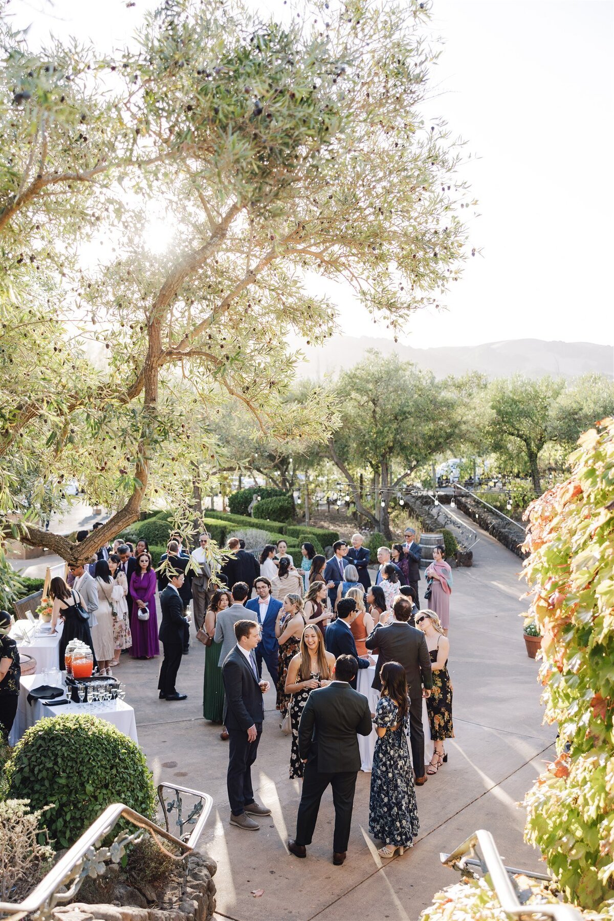 viansa-sonoma-wedding-annie-ben-ashley-carlascio-photography-0511