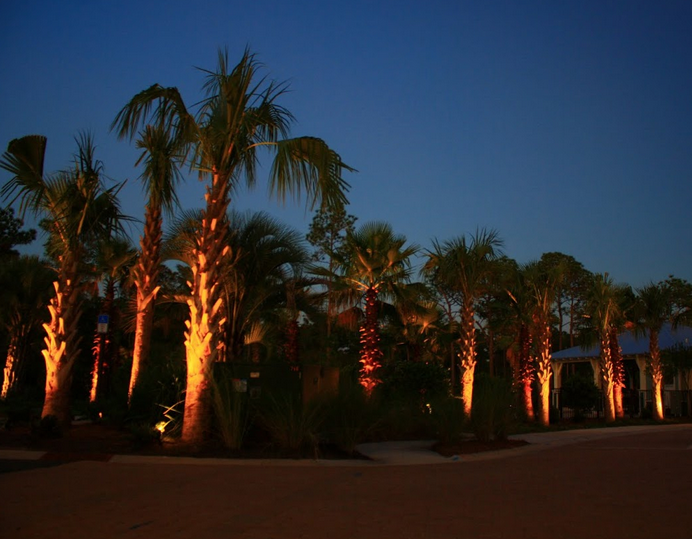 greenearth_lighting_entry