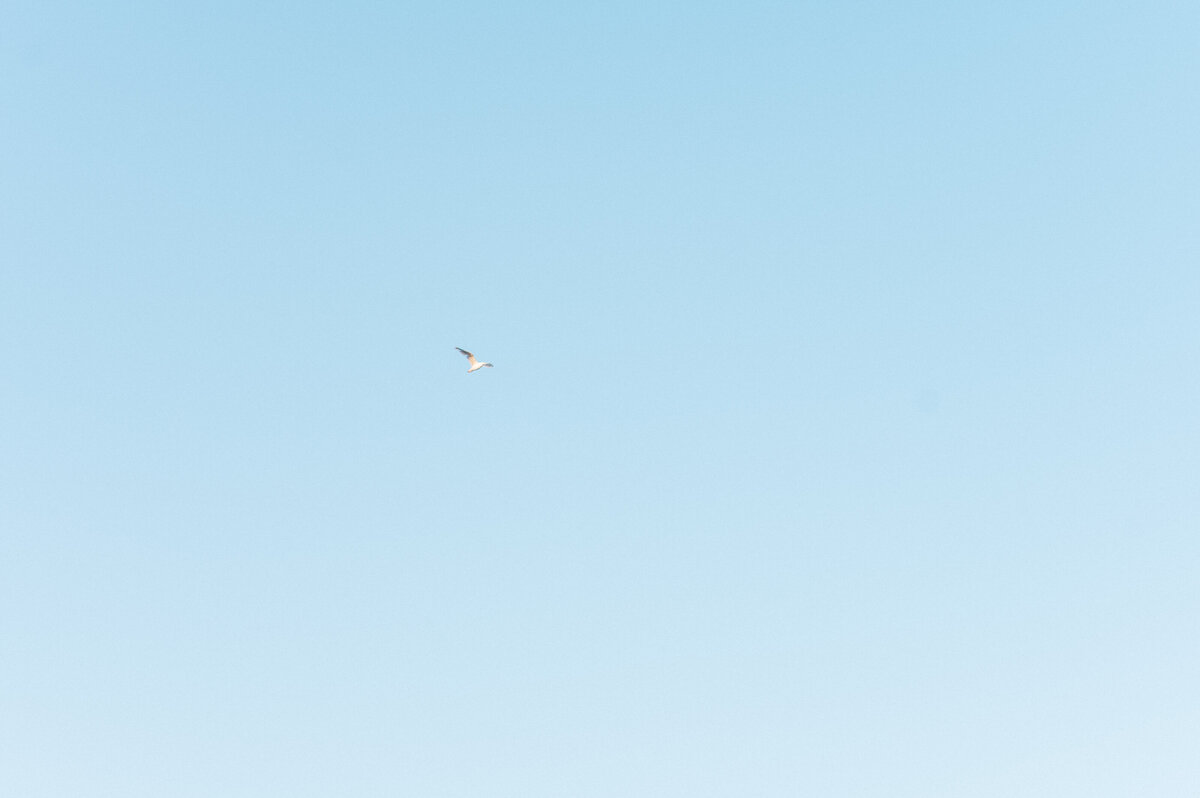Newport-Rhode-Island-Engagement-Session27
