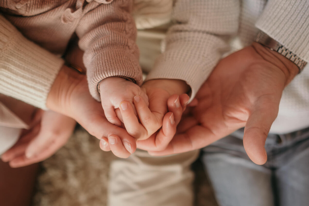 Closeup of the familiys hands holding each other.