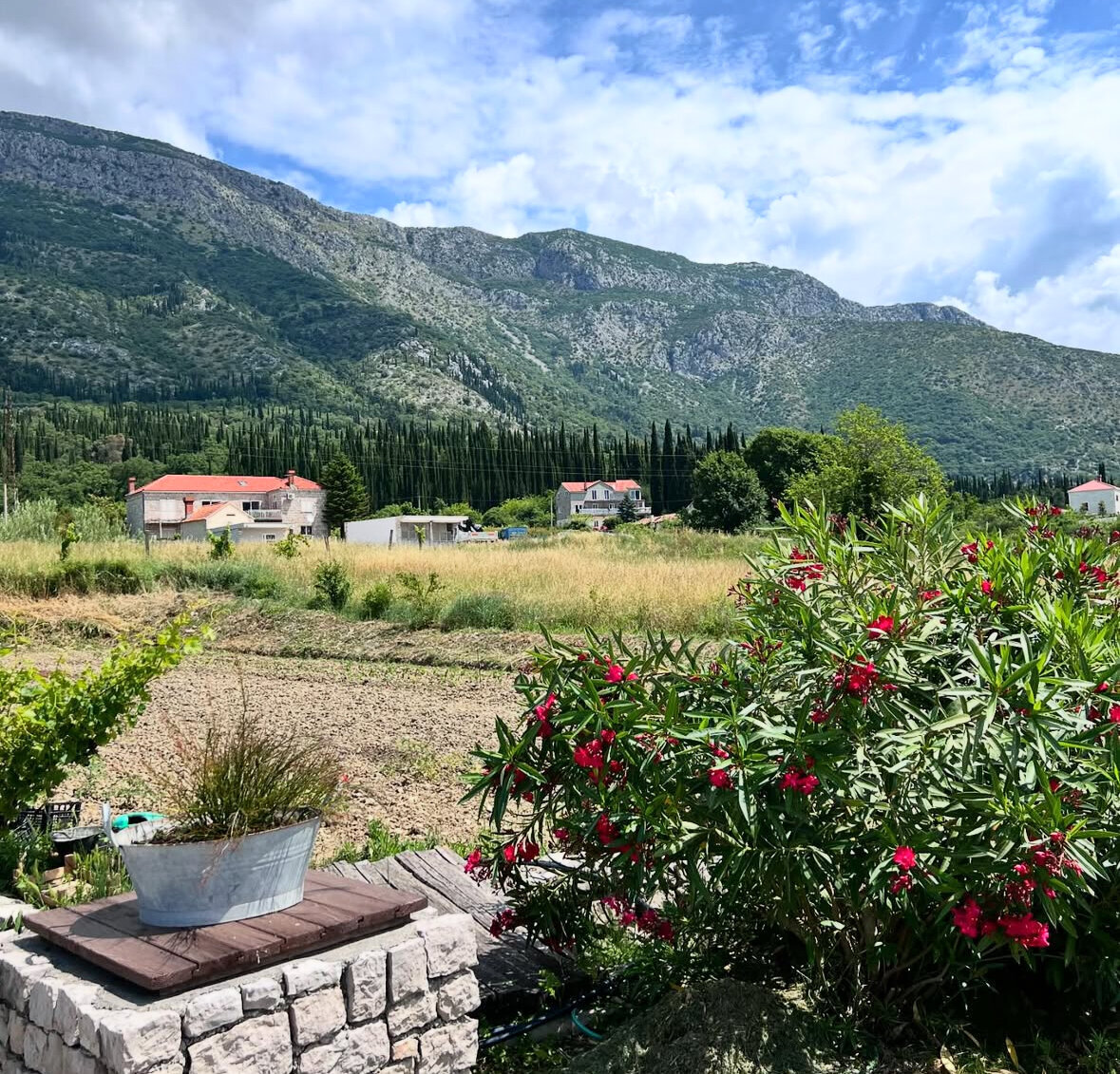 European Mountainside with bushes and blue sky