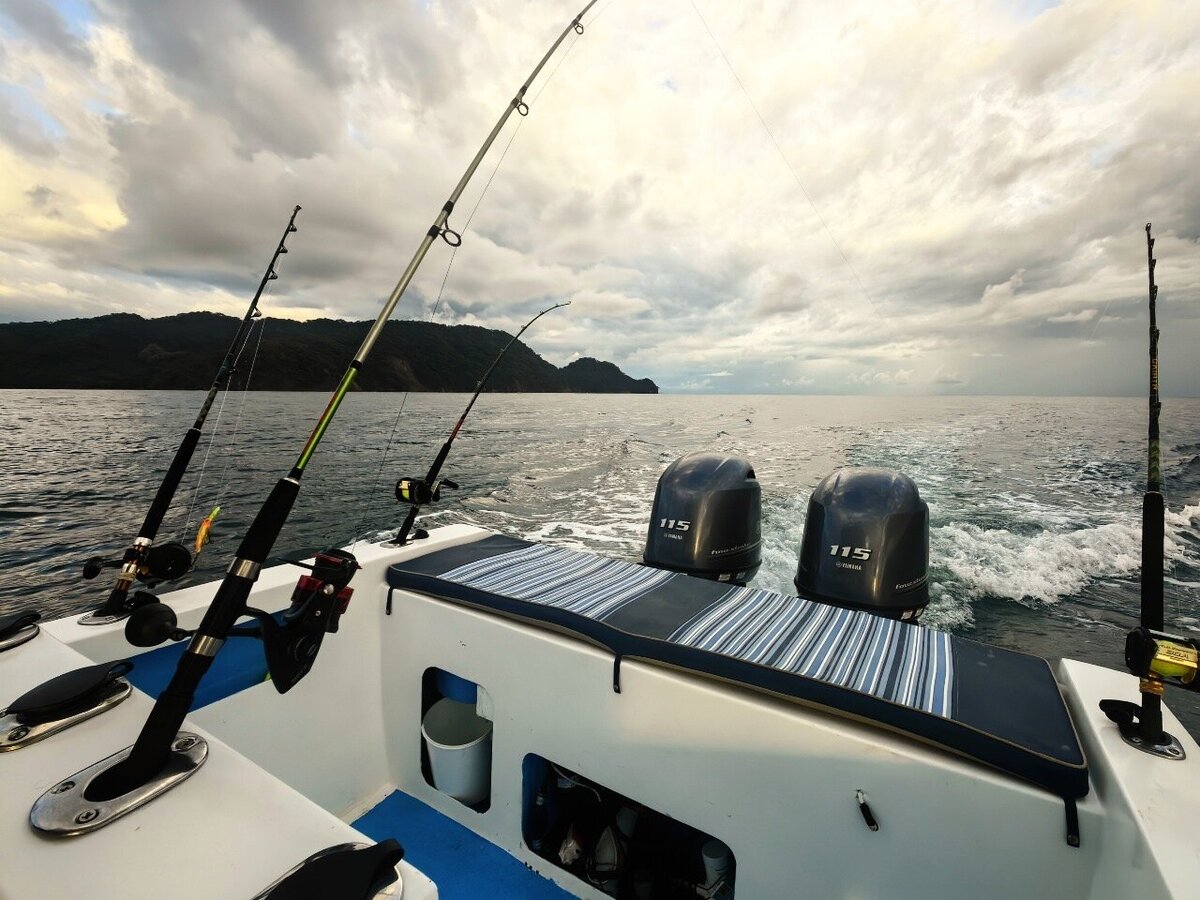 de8ff23f-8234-47a8-aaf5-eb9904cd14d5