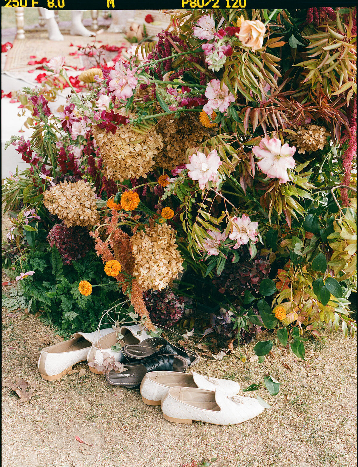 nicolerohan_firstceremony-199_websize