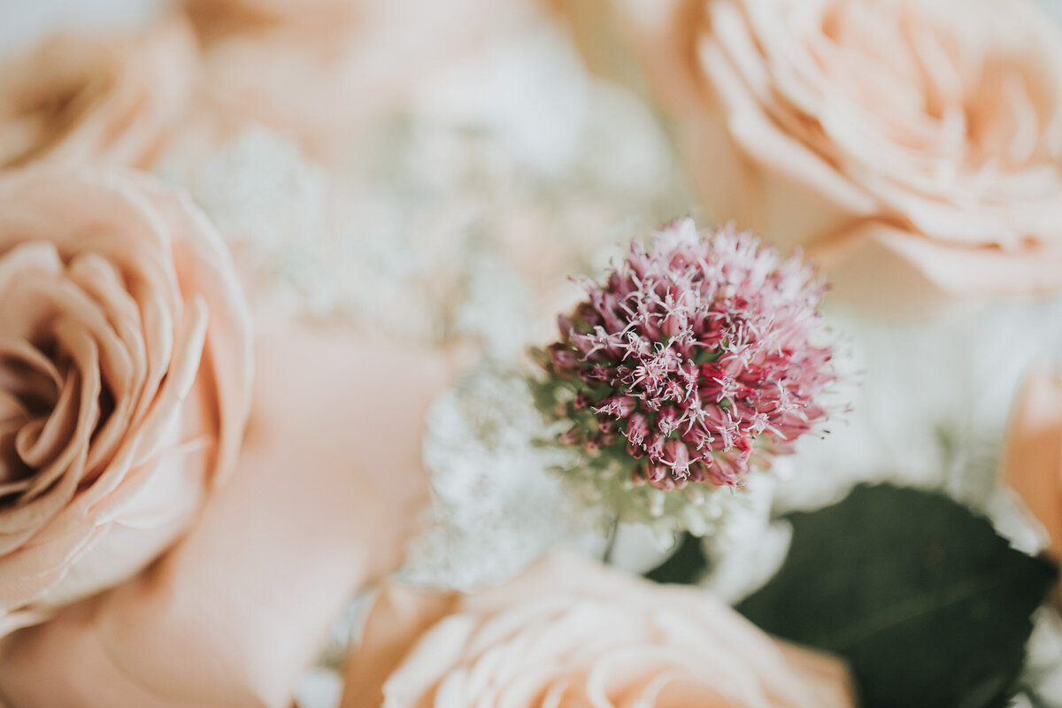 ReganStyledShoot0054