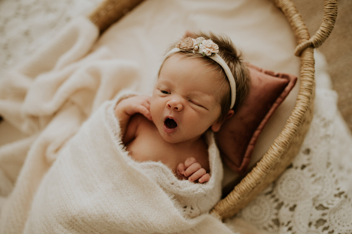 Red Deer Newborn Baby Photographer 117