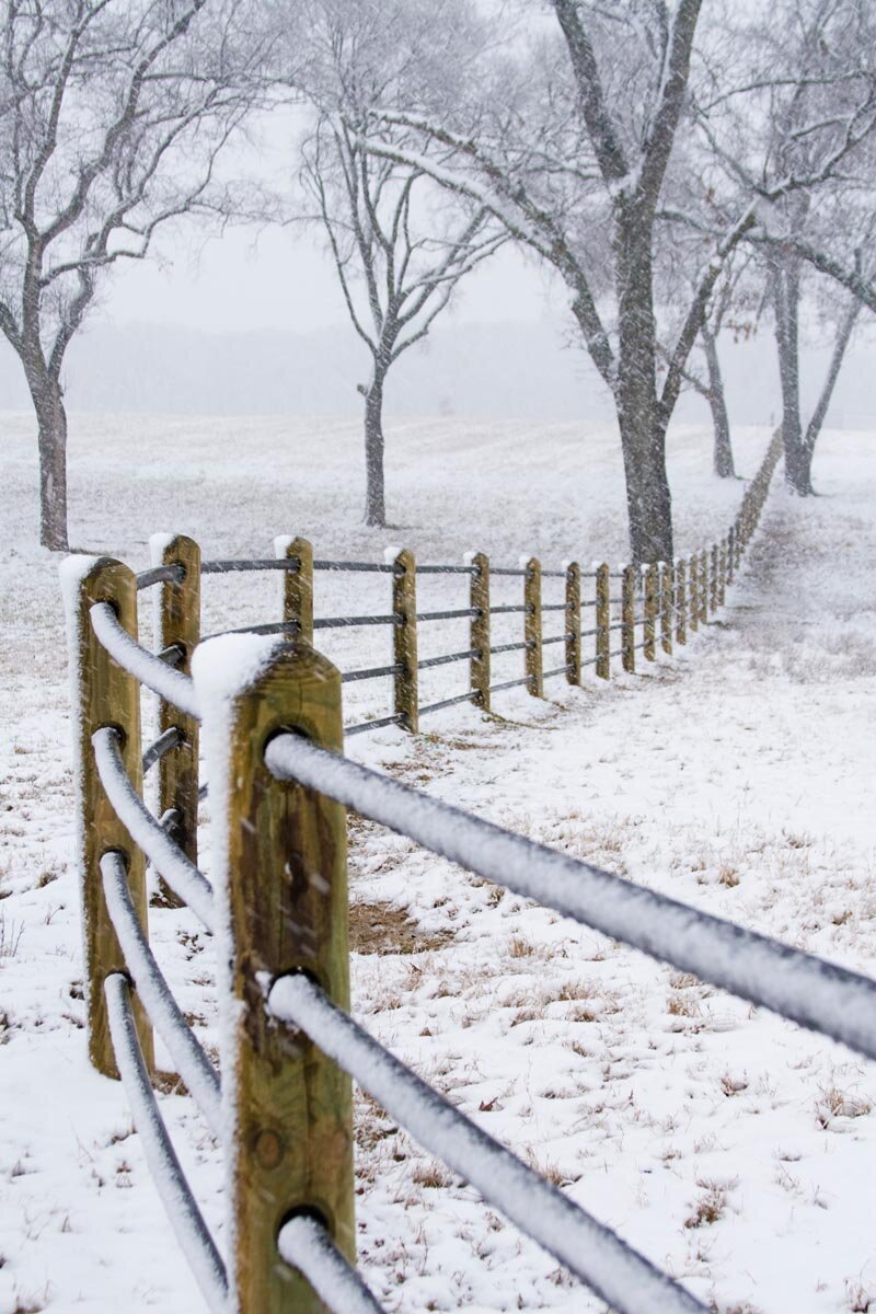 ponderosa-fence-015