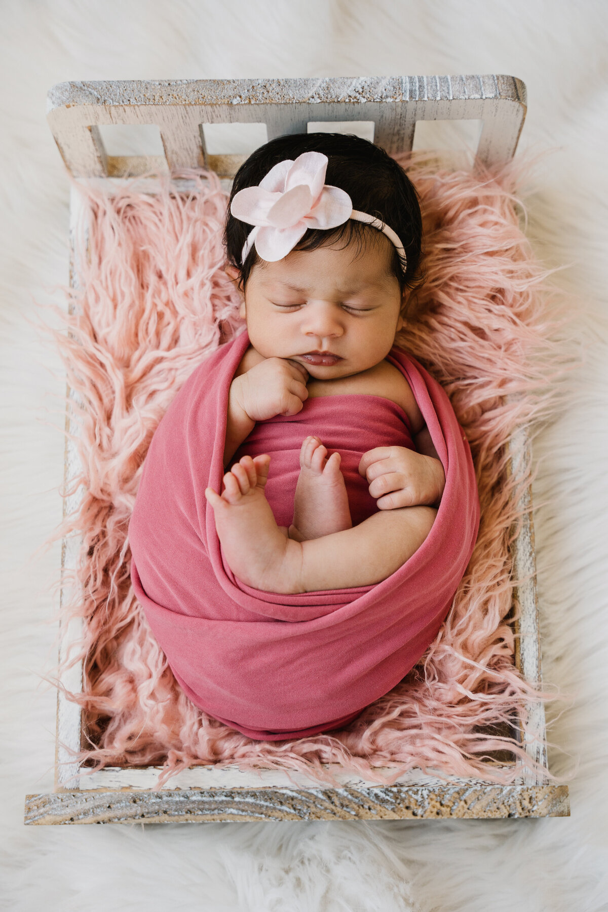 Unique Pittsburgh  newborn Photographer8