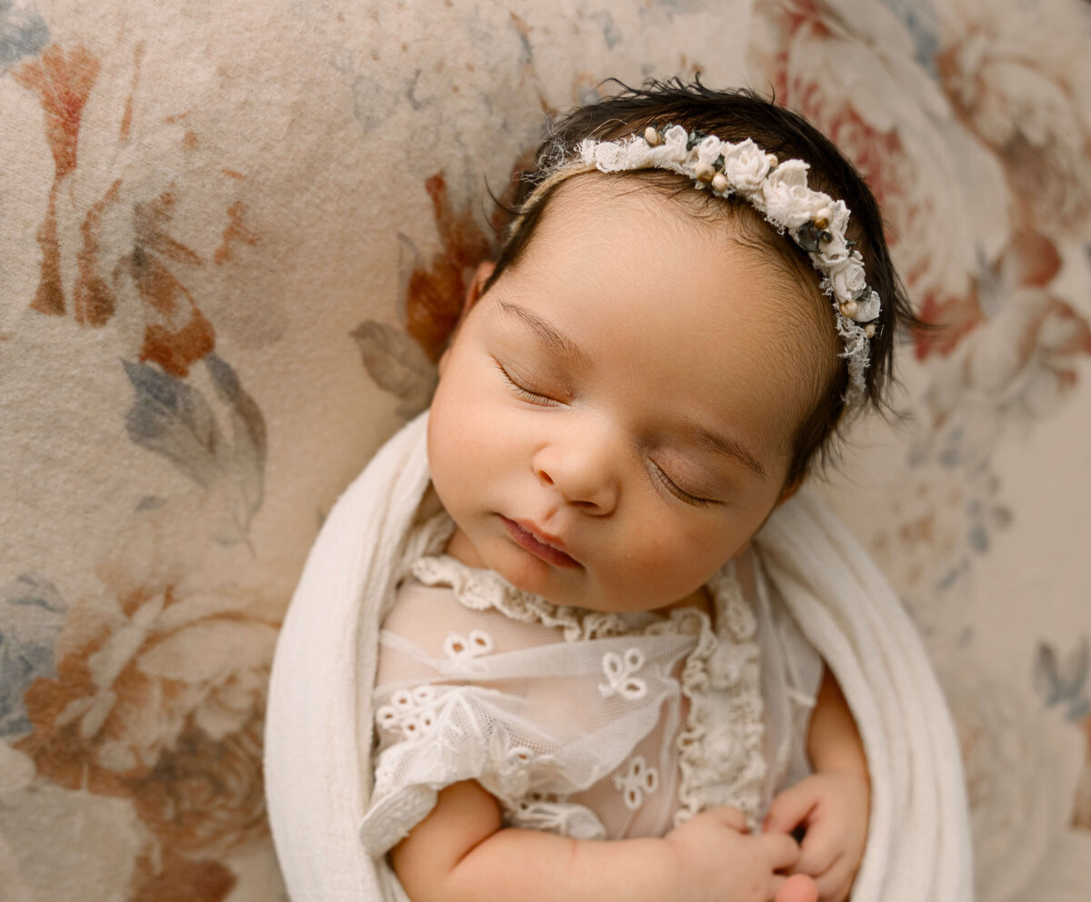 Erie Pa Newborn Photographer