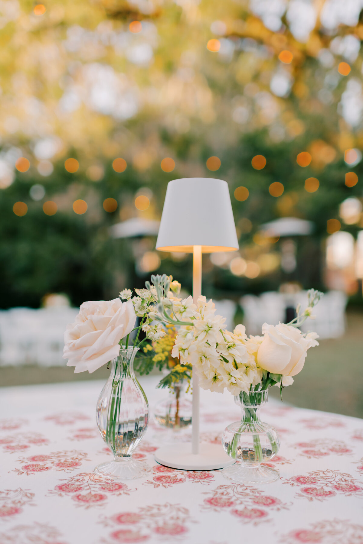 Cummer Museum of Art & Gardens Wedding0173