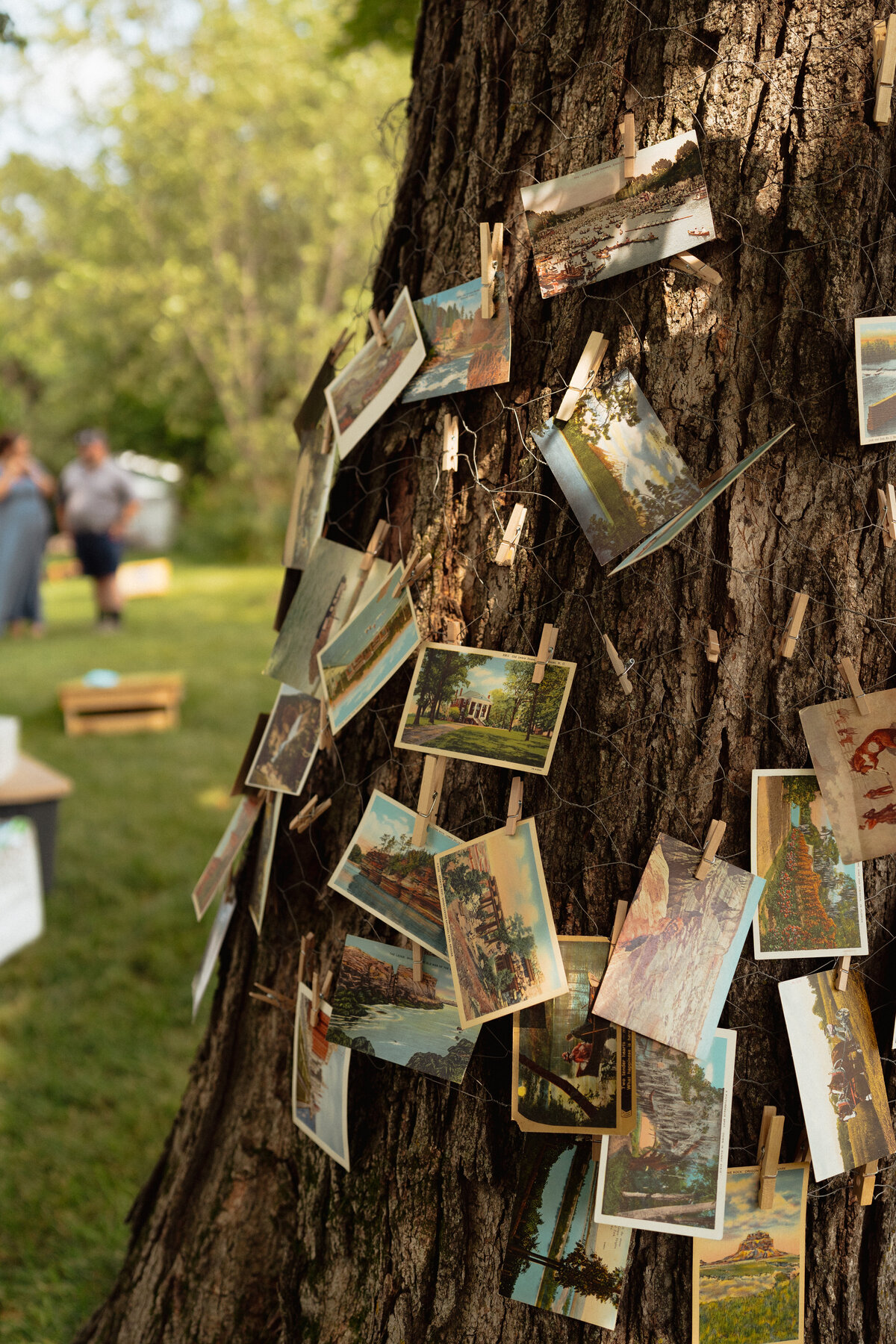 McMurrin Wedding -245