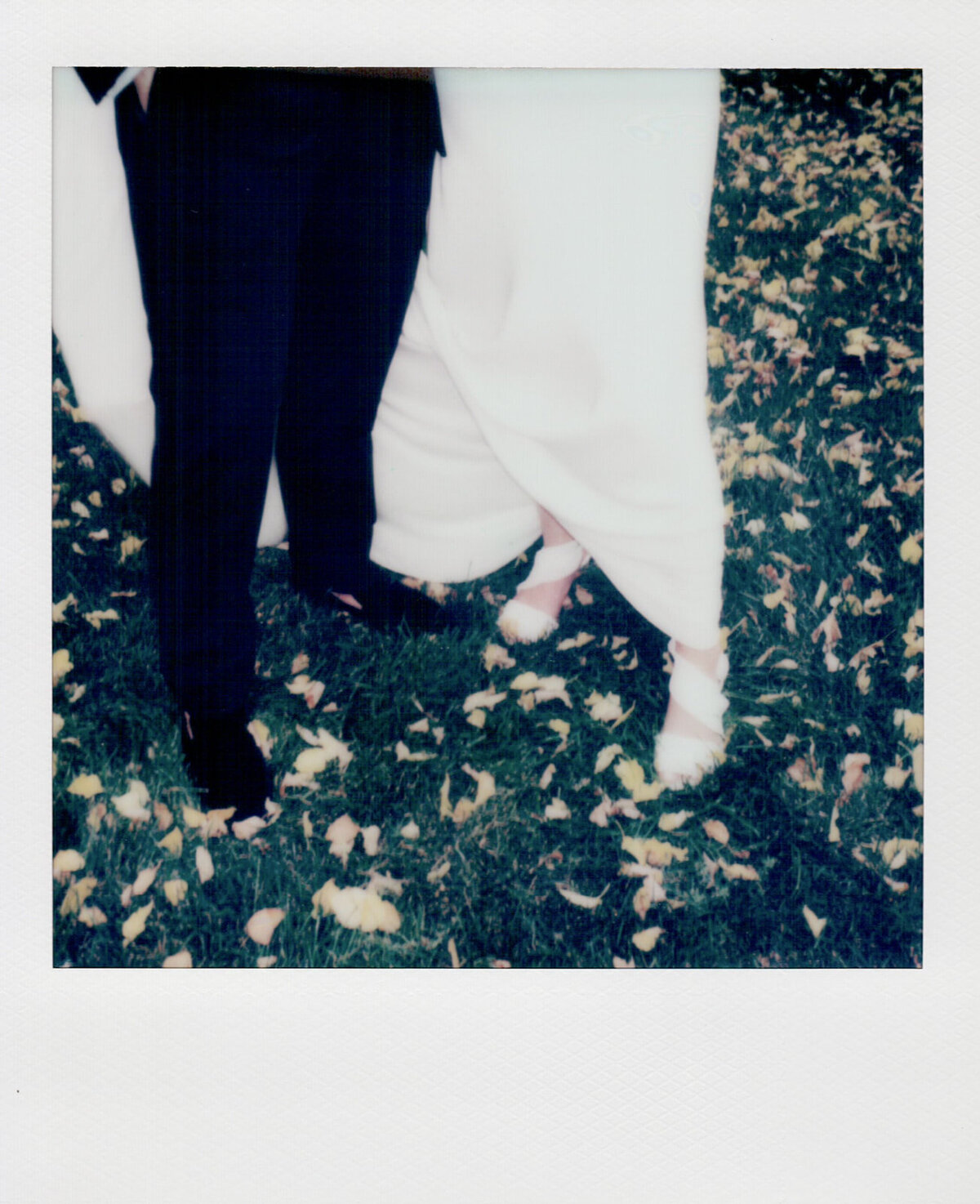 Polaroids-17