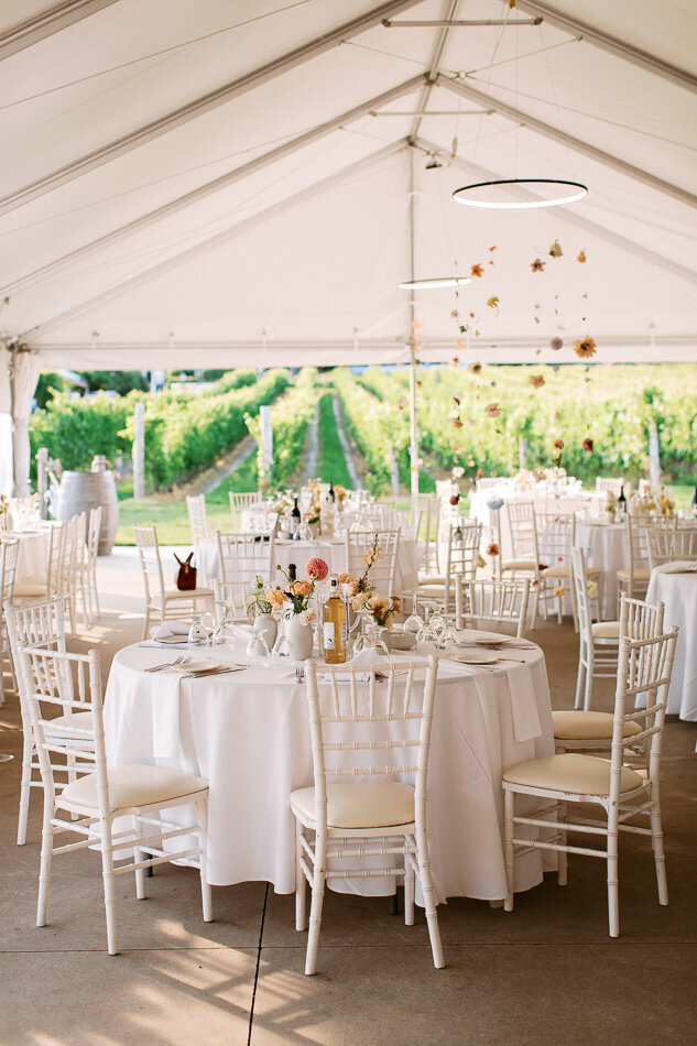 prince edward country wedding photography lushana bale portfolio-163