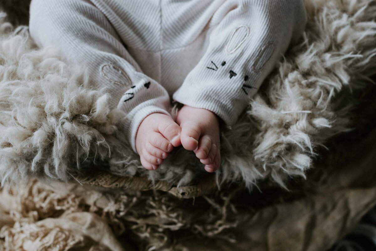 2024 Webseite Neugeborene Baesweiler Portrait Porträt Fotograf Aachen Fotostudio Babyfotos Newborn © Sarah Thelen-2