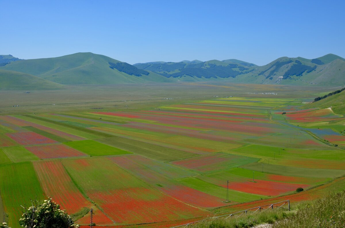 Waterstone - Palazzo Seneca- Norcia - Luxury Boutique Hotel - June 2020 - Blooming 8