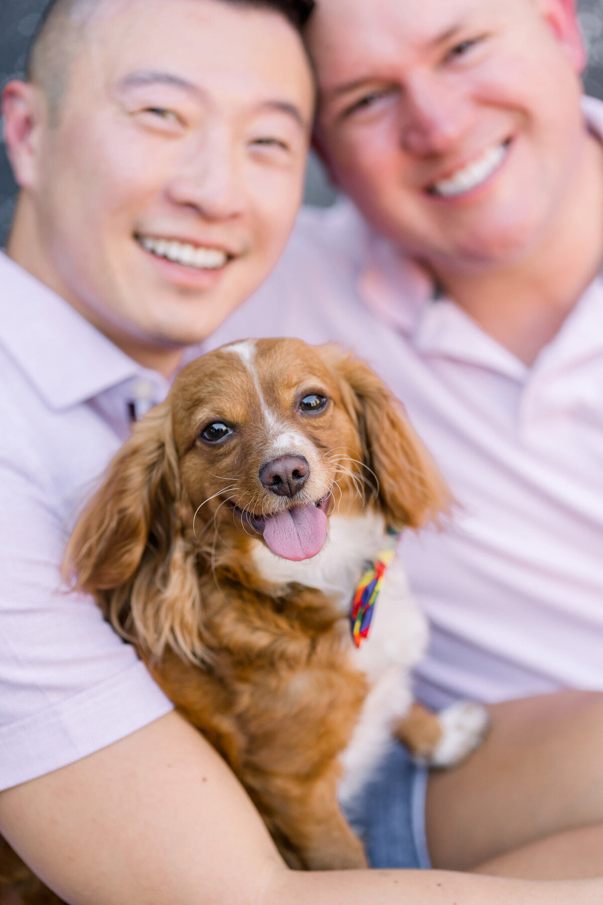 ryan-ryan-engagement-179