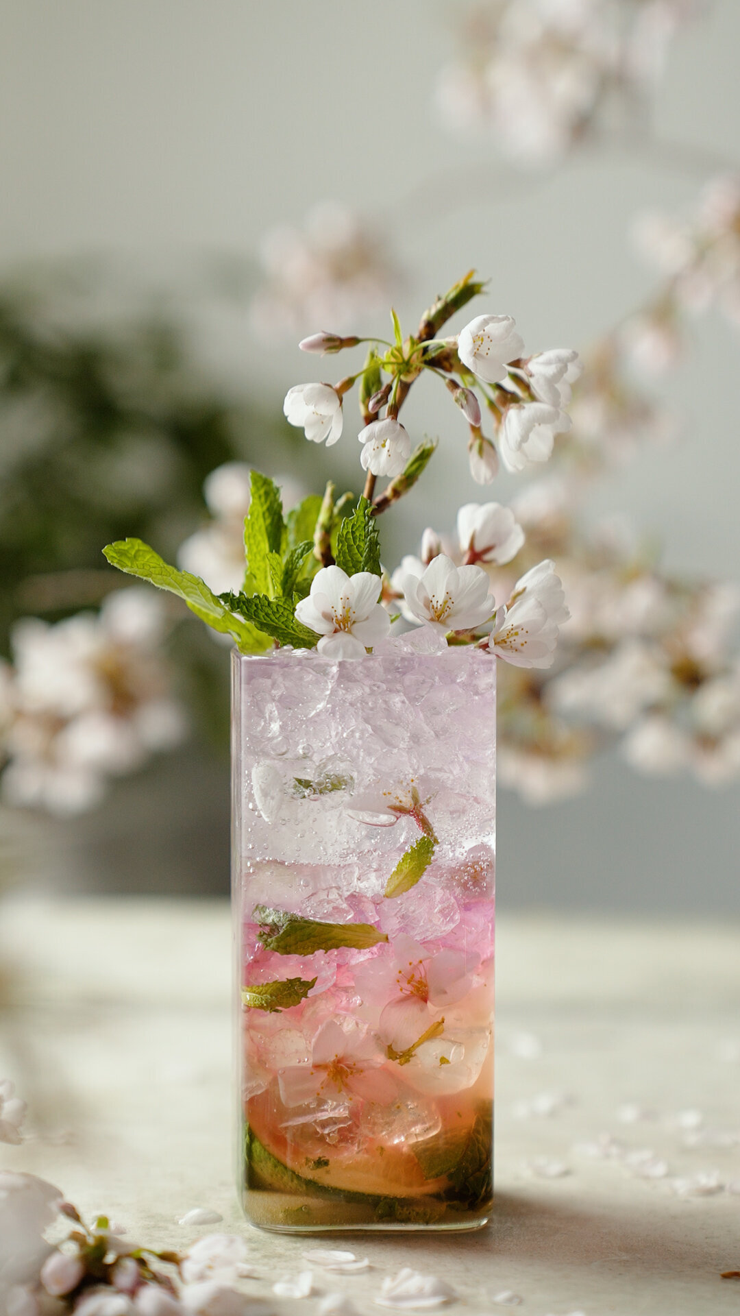 Cherry mojito.00_00_23_10.Still001