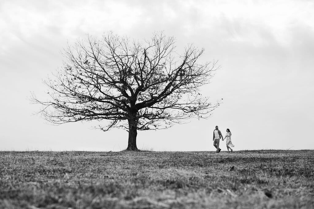 A couple walking through a deserted landscape with one tree