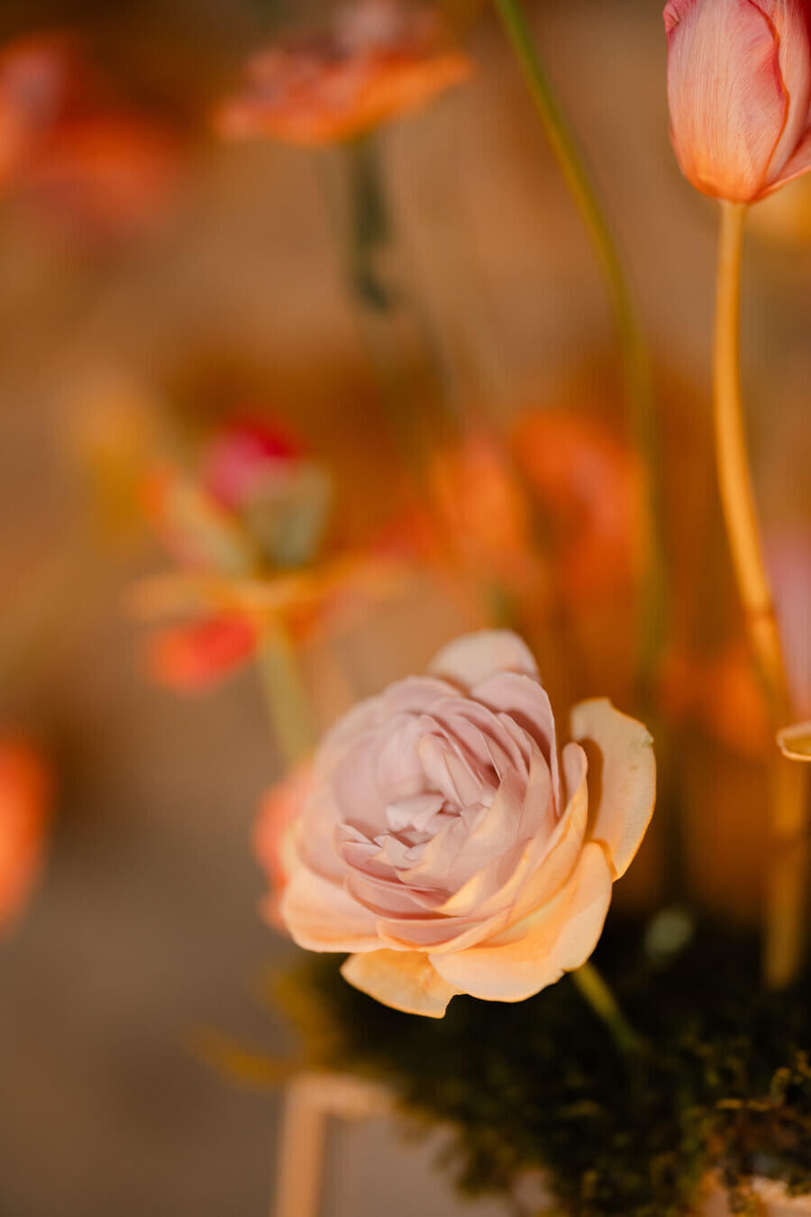 Chateau_Malliac_wedding_photography-227