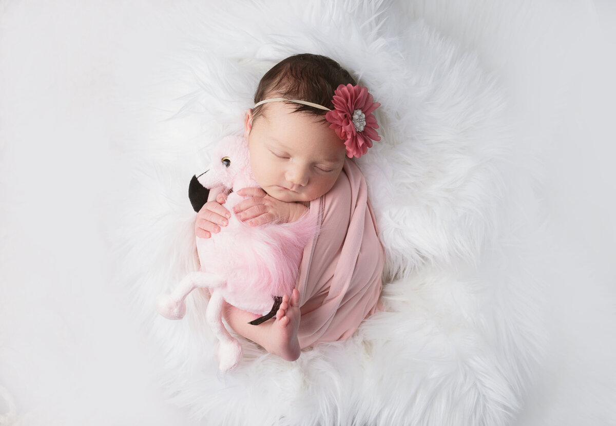 Newborn baby holding stuffed animal during newborn photoshoot with Nashville, TN newborn photographer 