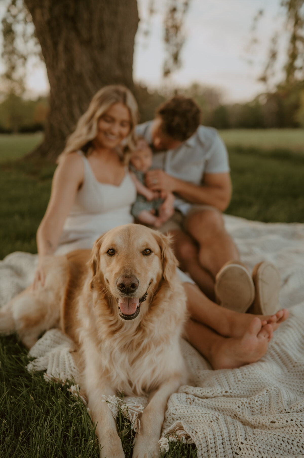 wisconsin_family_photographer | Grace + Honey Photo-114