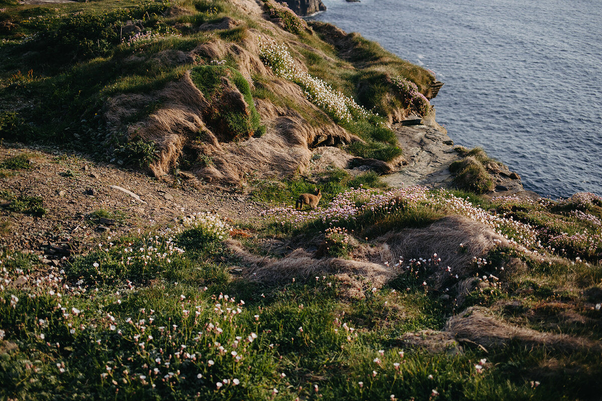 B&M_Elopement-441_websize