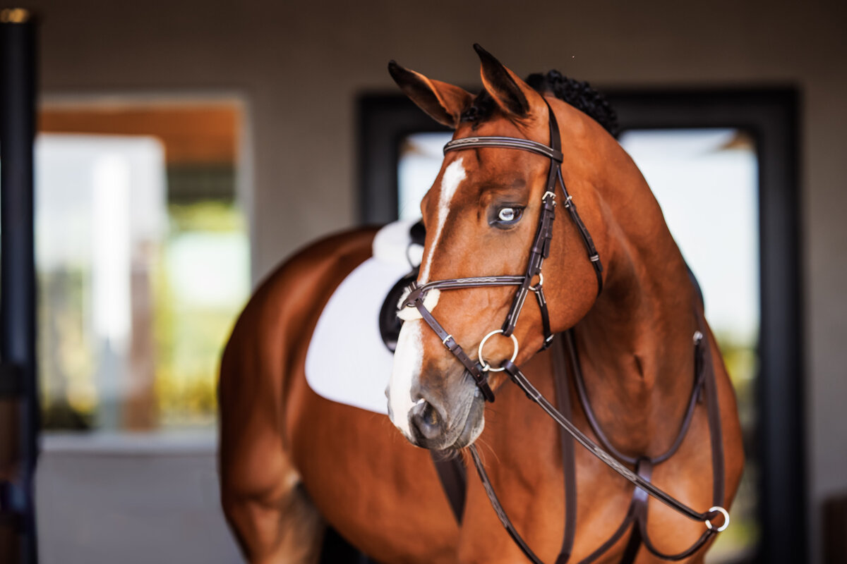 shires79