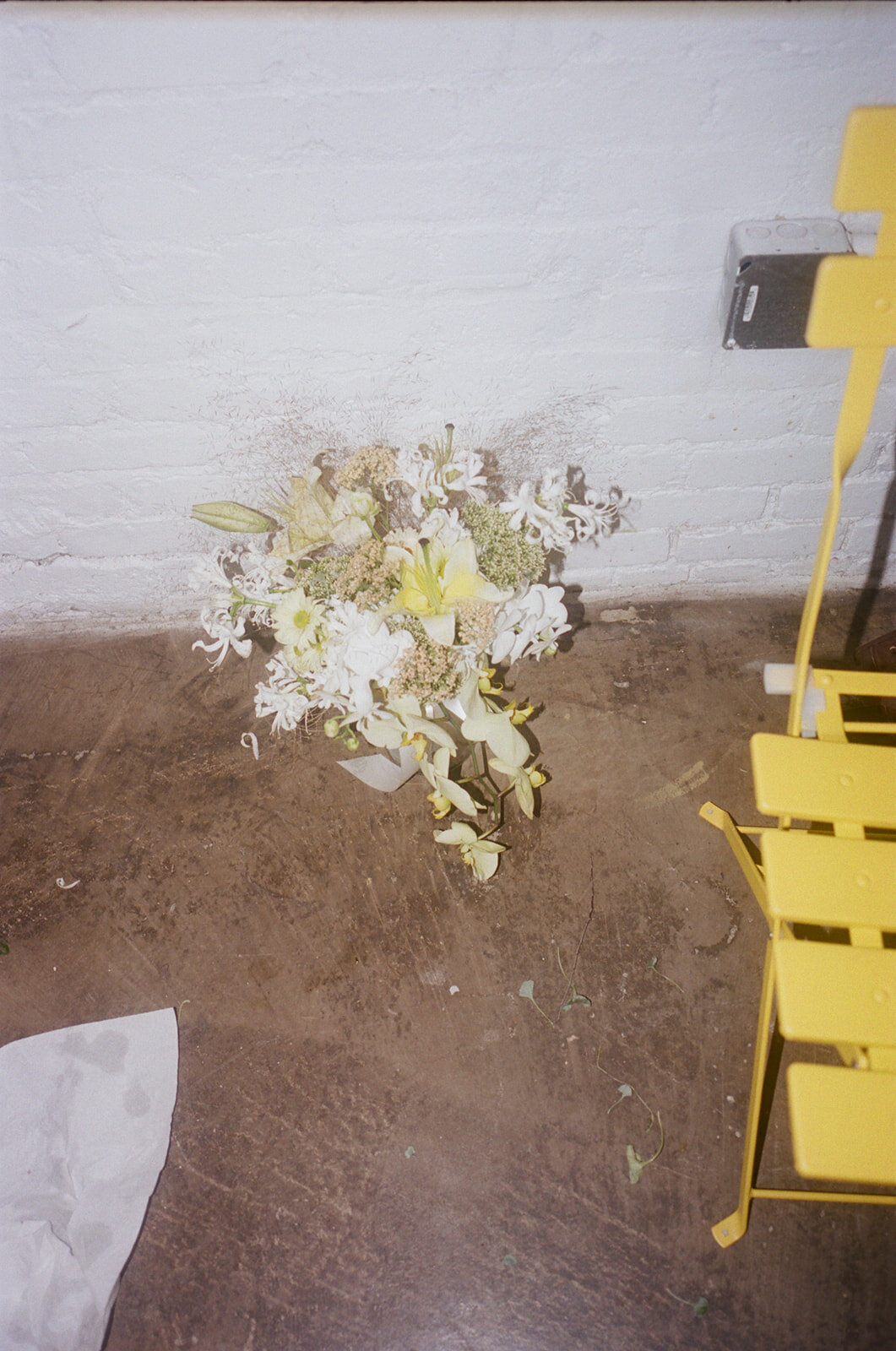 kodak_professional_portra_400_11_20_2023_000248870021