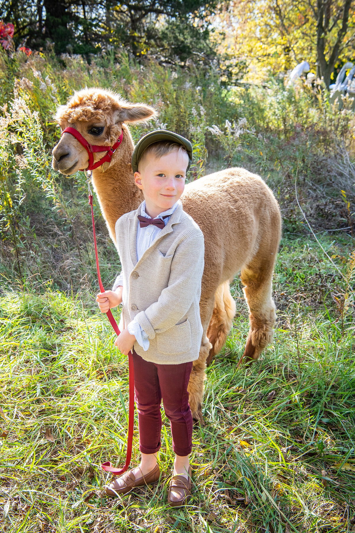 London Ontario Family Photographer - London Ontario1