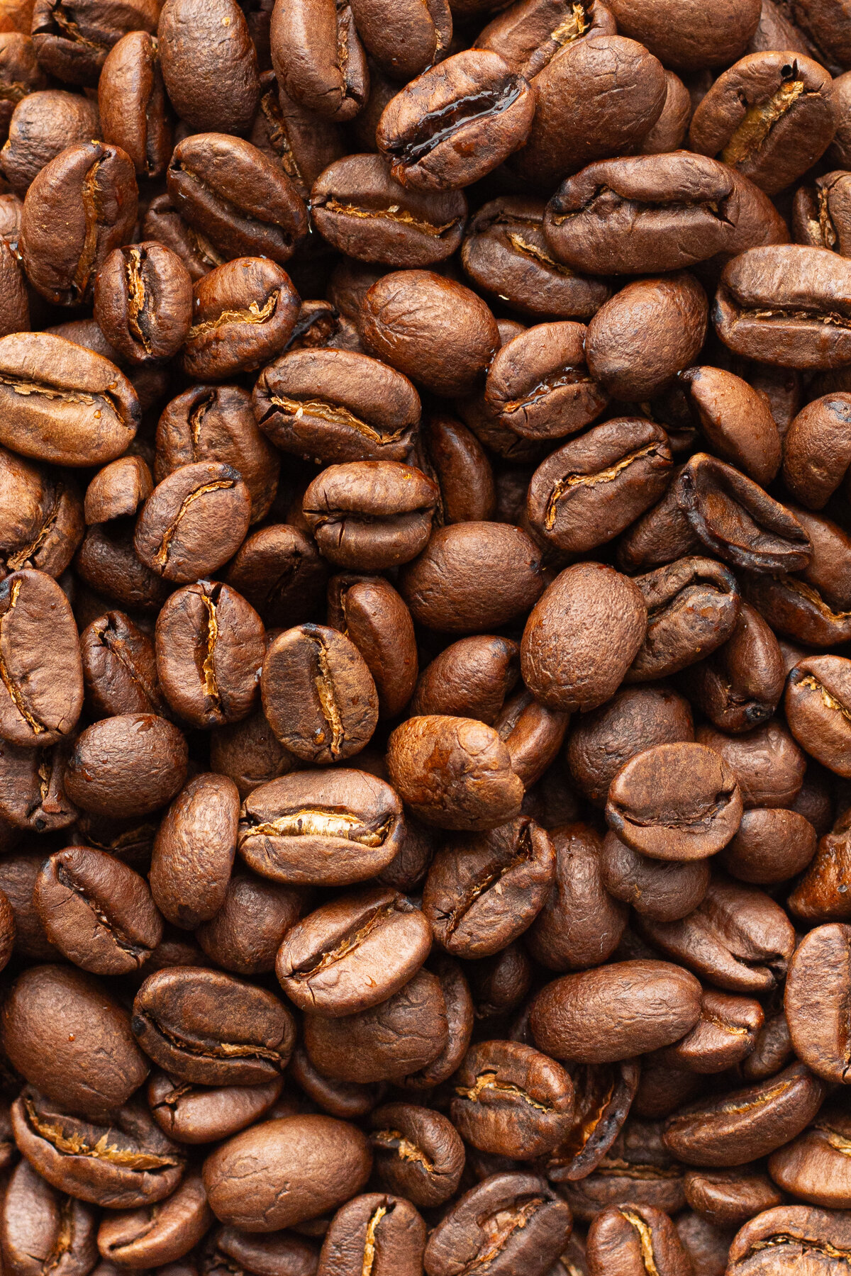 close up of a pile of coffee grounds