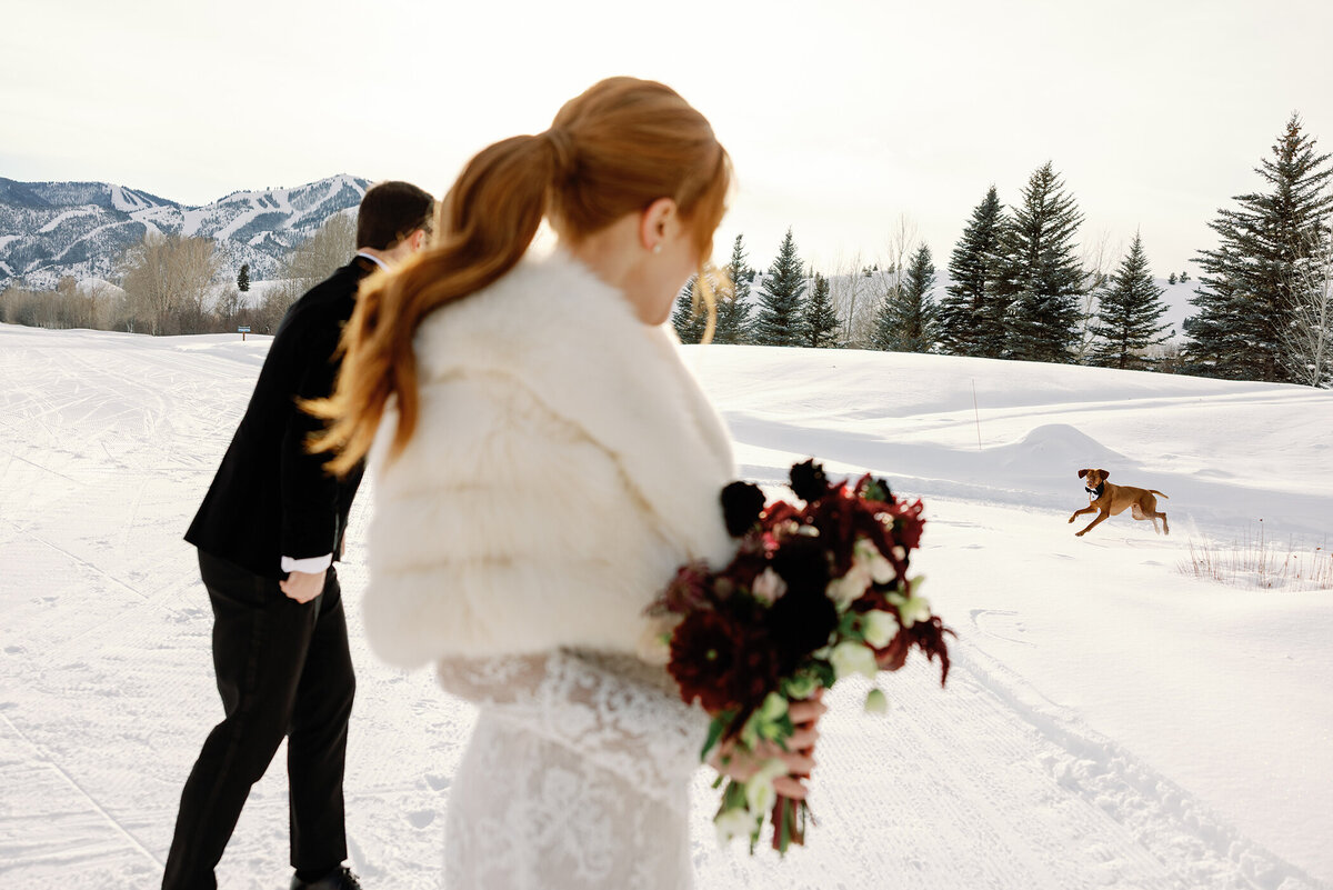 WeddingDay-505