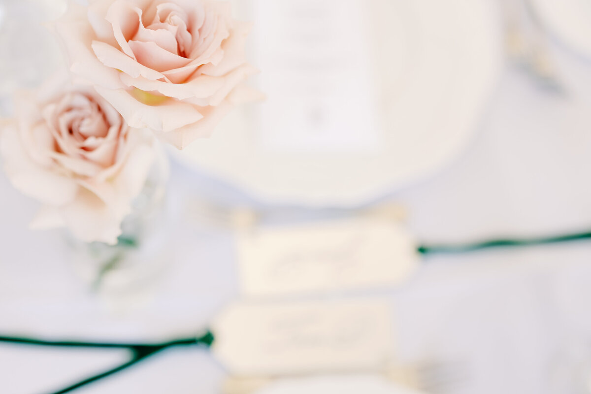Jekyll Island GA Wedding Crane Cottage Sarahdipity Photos0031