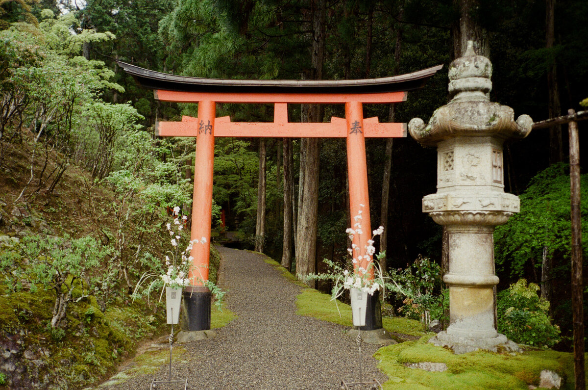 AlliesFilmPhotos_0750