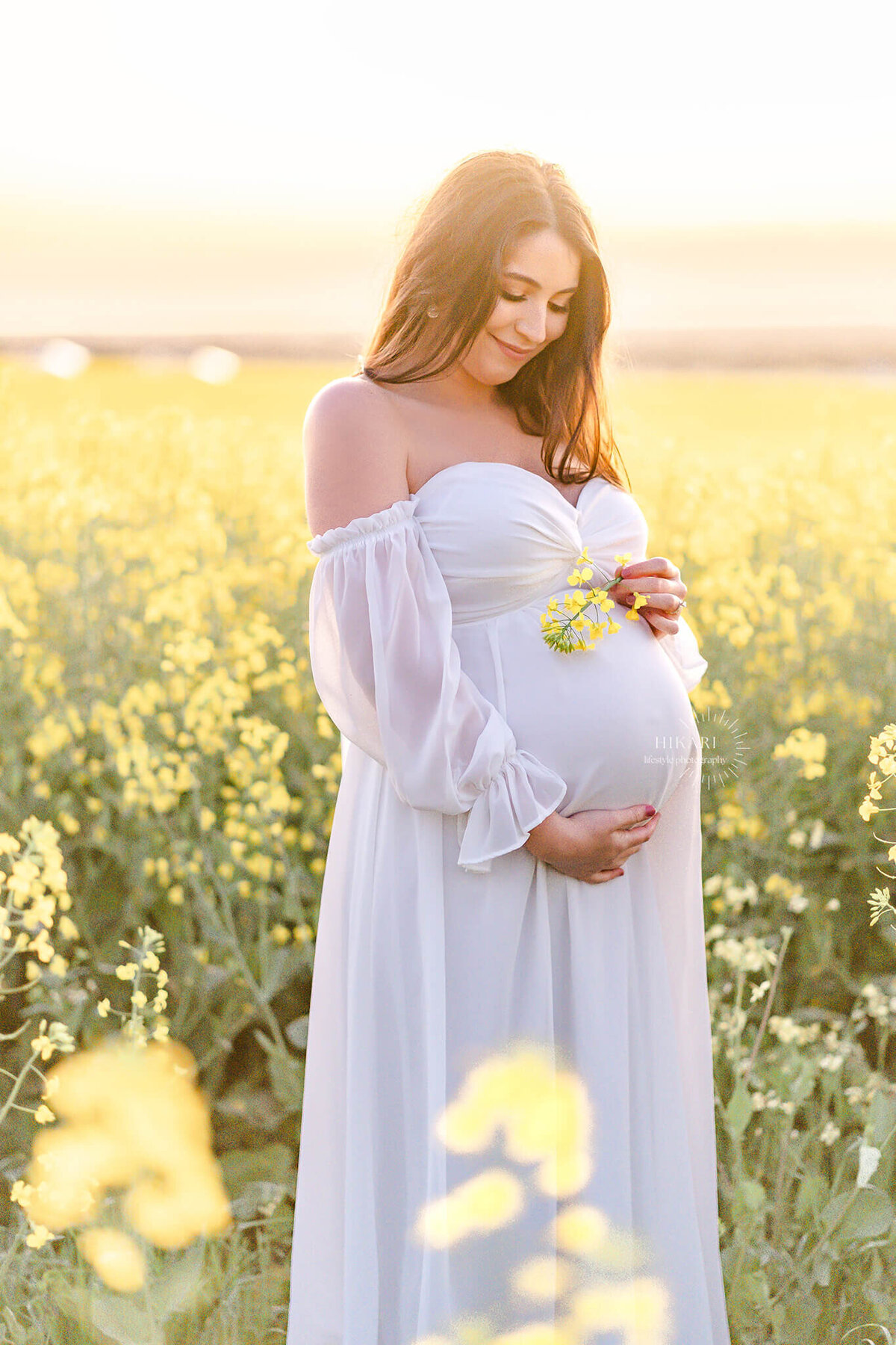 pretty girl holding a little canola flower against belly bump in yellow flower field during golden hours maternity session in SA
