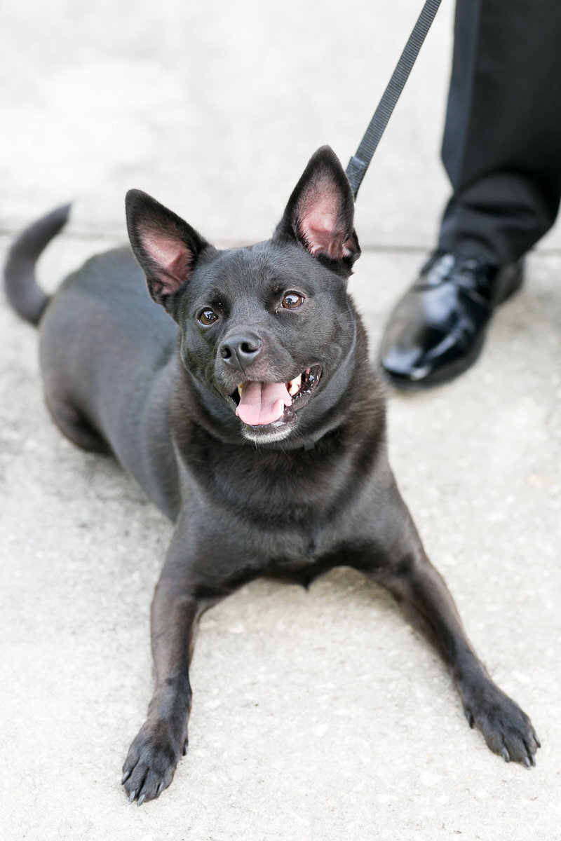 Cocoa Beach engagement session | Orlando wedding photographer | Orlando photographer | Orlando weddings |  Beach engagement_-2