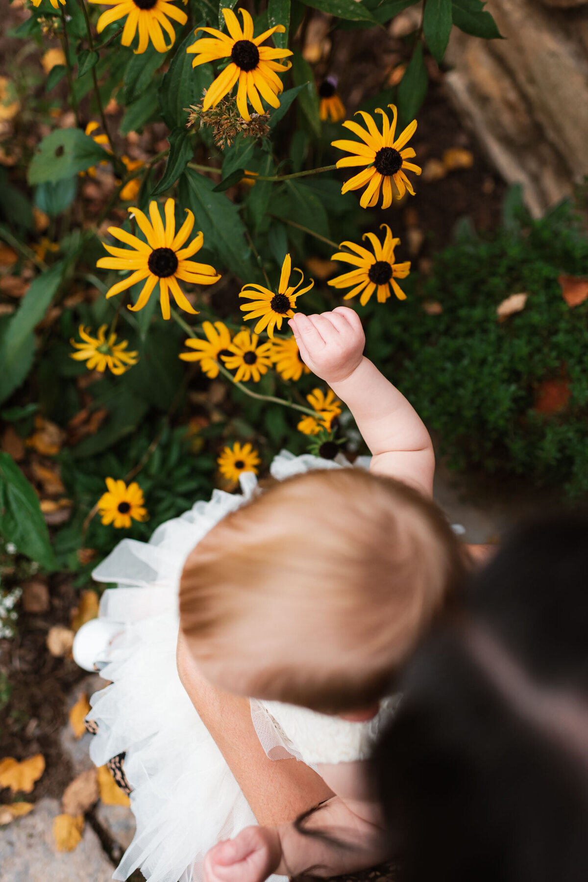Mullen Fall Family Session, Colonial Park Arboretum, Somerset NJ, Nichole Tippin Photography-32