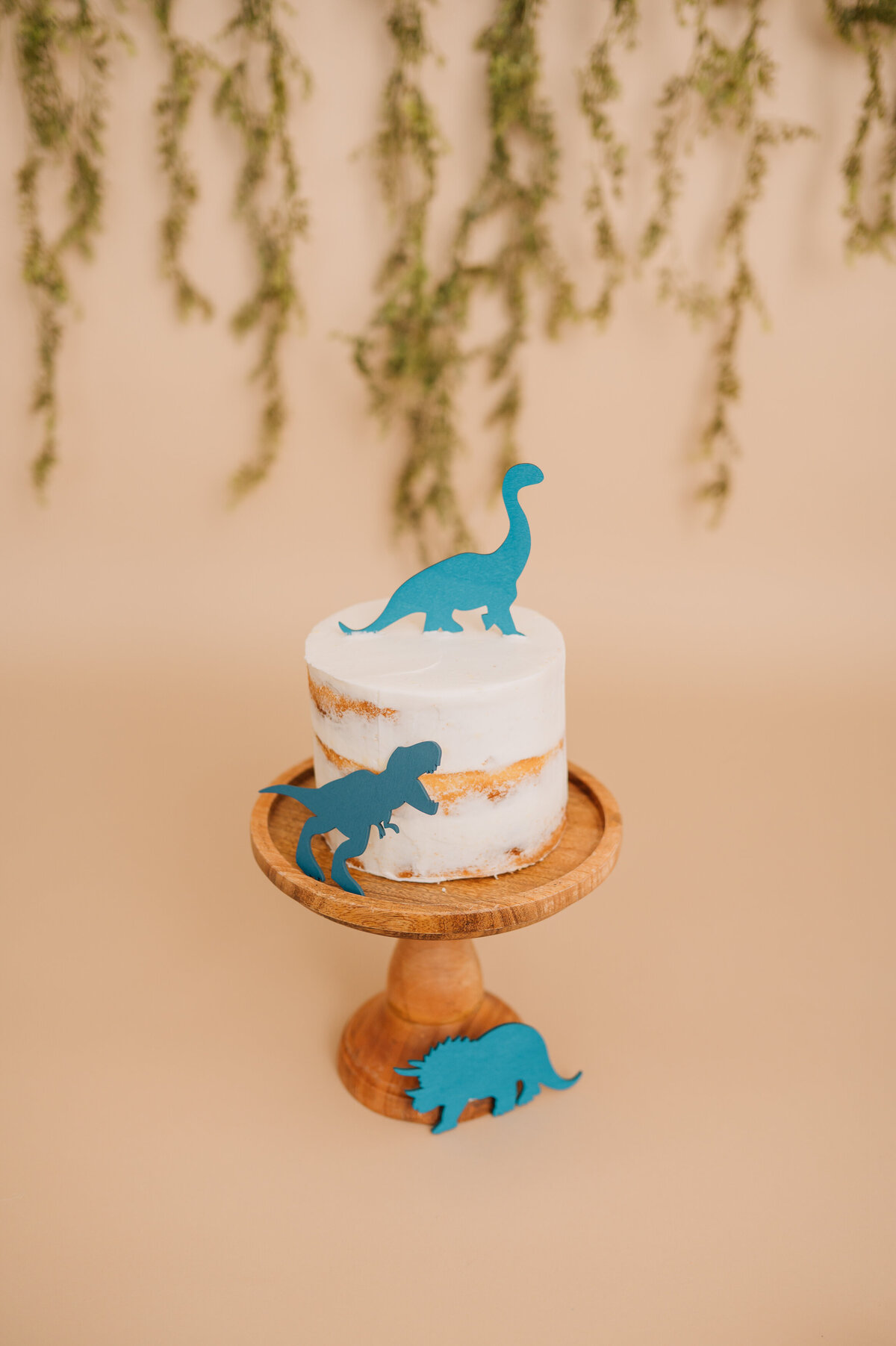 Canton CT Cake Smash Photographer-6