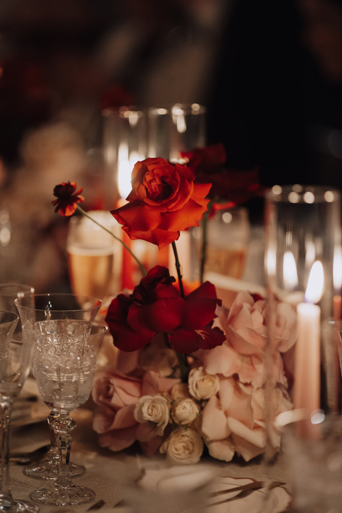 alison-michael-542