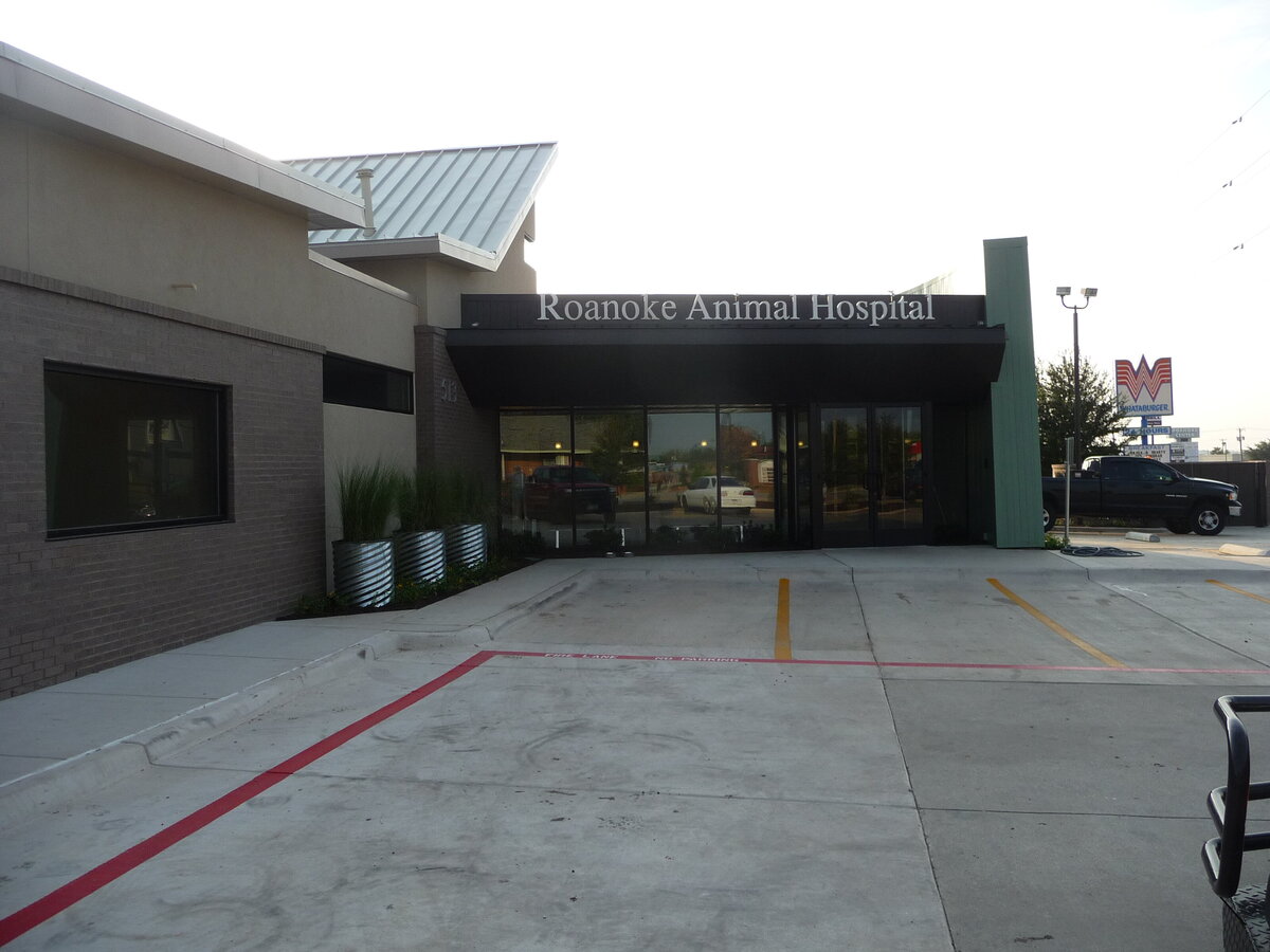 Roanoke Animal Hospital - Roanoke
