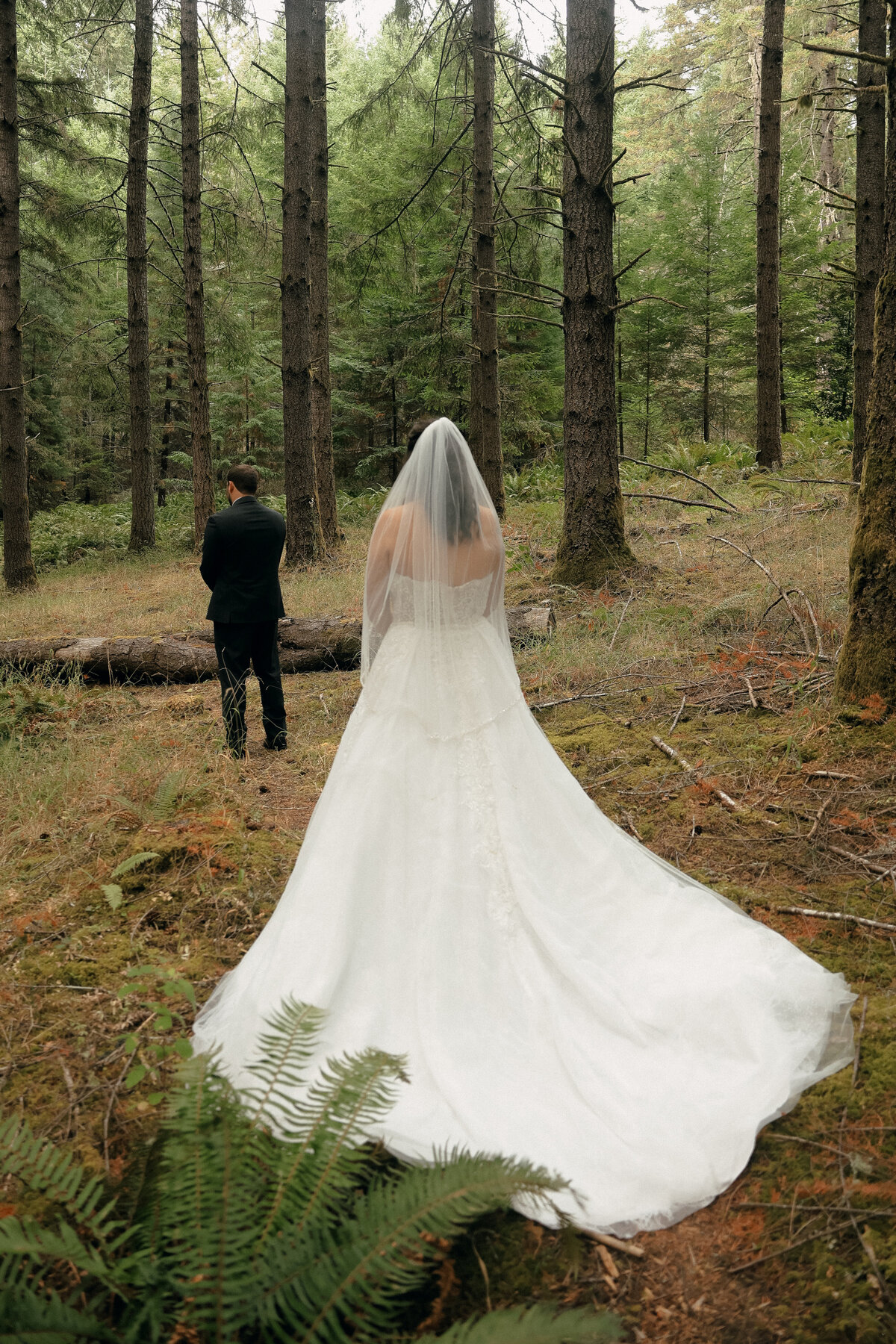 First Look in the Forest | Romantic Pacific Northwest Wedding Photography